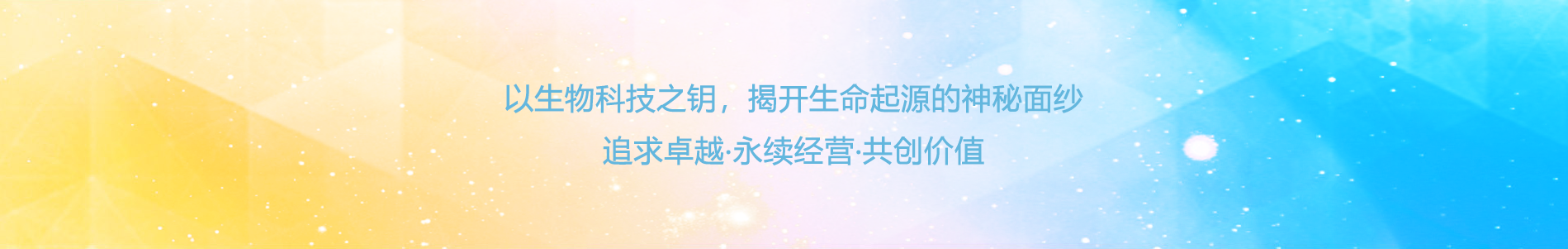 mk中国